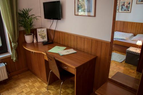 a room with a desk and a bed and a mirror at Guest House Park Žibert in Ljubljana