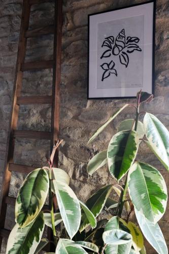 a plant next to a ladder and a picture at Borgo Castello Panicaglia in Nocera Umbra