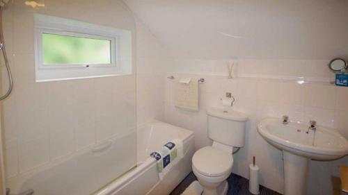 ein weißes Badezimmer mit Toilette und Waschbecken in der Unterkunft Eryl cottage in Rowen in Llangelynin