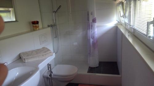 a bathroom with a shower and a toilet and a sink at Bed and Breakfast 24 in Stein am Rhein