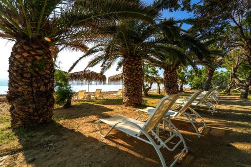 Φωτογραφία από το άλμπουμ του Hotel Summery  στο Ληξούρι