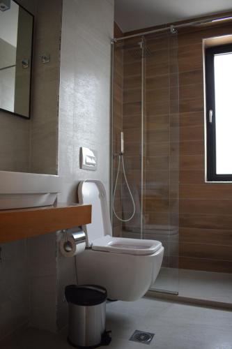 La salle de bains est pourvue de toilettes et d'une douche en verre. dans l'établissement BluePoint Hotel, à Kakavijë