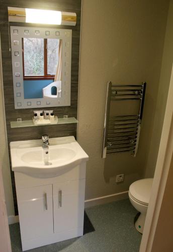 a bathroom with a sink and a mirror and a toilet at Oak Tree Lodge in Ballachulish