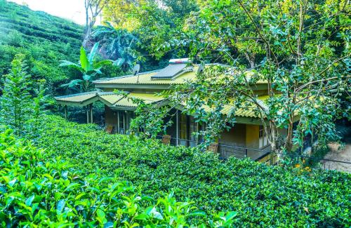 a house in the middle of a hedge at Train View Chalet in Bandarawela
