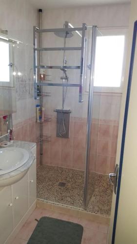 une salle de bain avec douche et lavabo dans l'établissement Grande maison a hiers brouage (proche ile oleron), à Hiers-Brouage