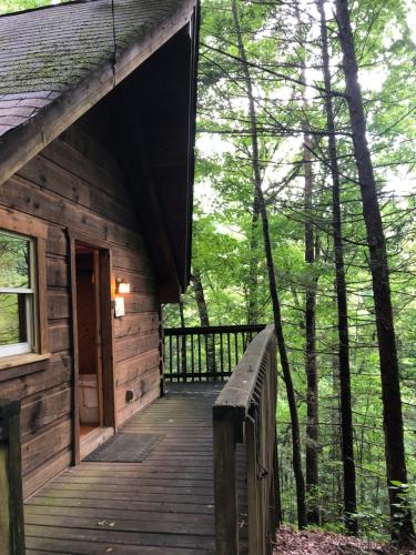 Gatlinburg Adventure Cabins photo 276
