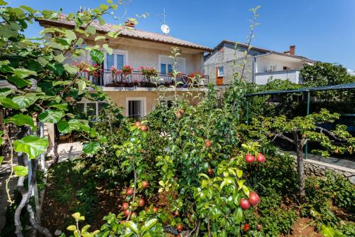 Apartmani Jelica