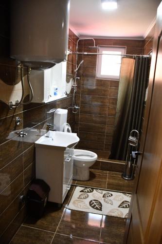 un piccolo bagno con un water e un lavandino di Apartman Vesna a Višegrad
