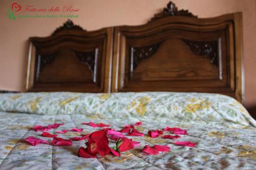 Fattoria Delle Rose – Photos 5