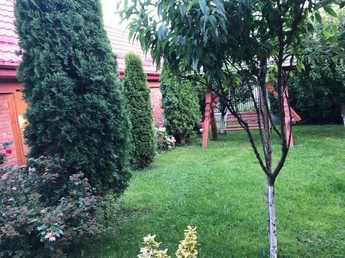 einen Garten mit einem kleinen Baum im Gras in der Unterkunft Casa Rustica in Borşa