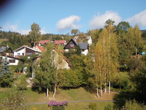a group of houses on a hill with trees at APARTMÁN BERAN in Rokytnice nad Jizerou