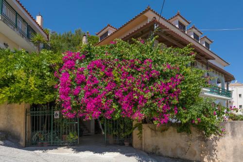 Gallery image of Vallia's Seaview Complex in Argasi