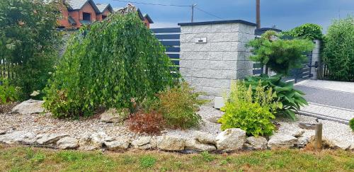 a garden with a tree and rocks in front of a fence at Siedlisko Vincent in Szydłów