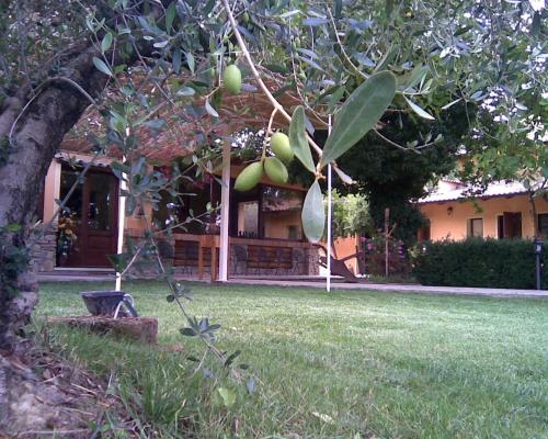 a house with a tree with green fruit on it at Fattoria Bertaccini in Cesena