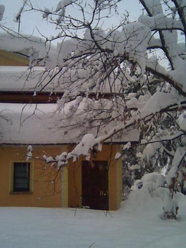 a tree covered in snow in front of a house at Fattoria Bertaccini in Cesena