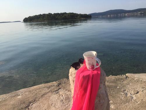 a cup sitting on a table next to a body of water at Apartments Esperanza in Pašman