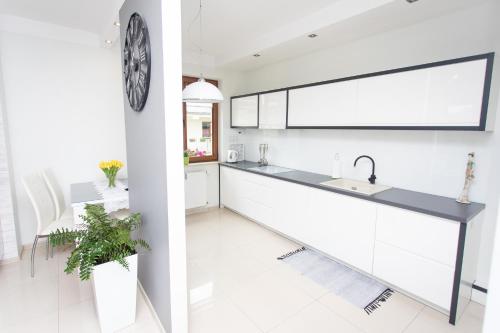 Kuchyňa alebo kuchynka v ubytovaní Apartament nad Iławką