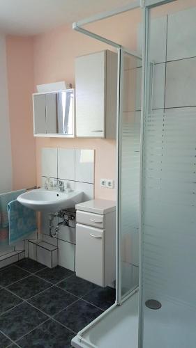 a bathroom with a sink and a shower at Monteur - Ferienwohnung - Marburg-Biedenkopf - Steffenberg - Erdgeschoss mit Balkon in Obereisenhausen