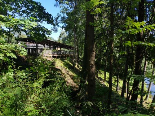 a train traveling through a forest next to a river at Zeit Hotel in Līgatne