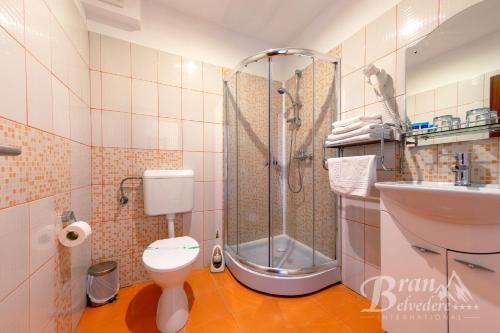 a bathroom with a shower and a toilet and a sink at Bran Belvedere International in Bran