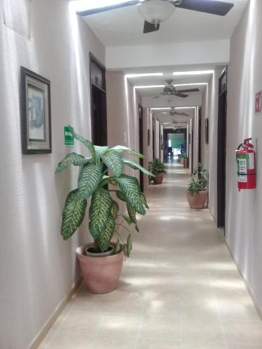 Villa Fontana – Photos 4