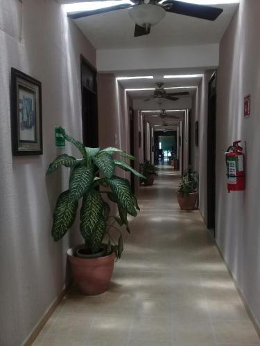 Villa Fontana – Photos 5