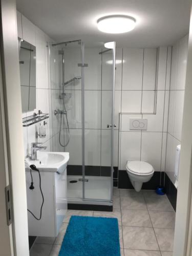 ein Bad mit einer Dusche, einem WC und einem Waschbecken in der Unterkunft T&T Unterkunft in Dettingen unter Teck
