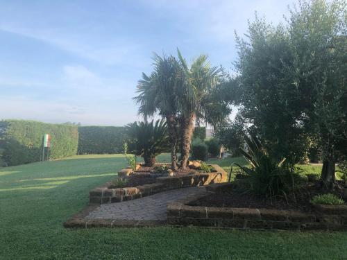 a garden with palm trees and a stone path at Casa in campagna a due passi dal mare in Pisa