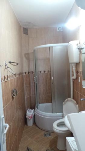 a bathroom with a shower and a toilet and a sink at Kuća Radović in Budva