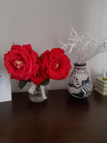 two red roses in a vase on a table at Relax Apartament in Constanţa
