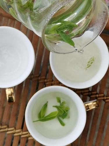 a vase with a green plant in a bowl at Wang Jiang Reclusive Boutique Inn in Fenghuang