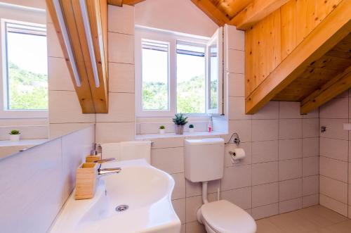 a bathroom with a sink and a toilet and windows at Apartments Korita in Maranovići