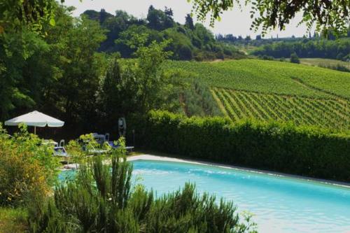 a swimming pool in front of a vineyard at Agriturismo La Moraia in Poggibonsi