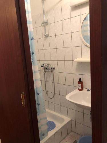 a bathroom with a shower and a sink at Apartment DAZ in Makarska