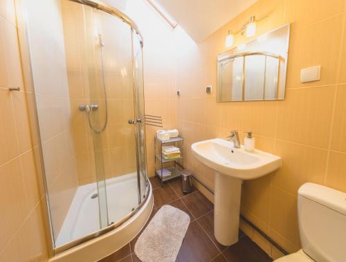 a bathroom with a shower and a sink and a toilet at Apartament Zdrojowy in Lądek-Zdrój