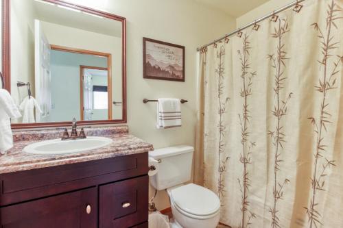 a bathroom with a sink and a toilet and a shower curtain at 3 Bed 2 Bath Apartment in Leavenworth in Leavenworth