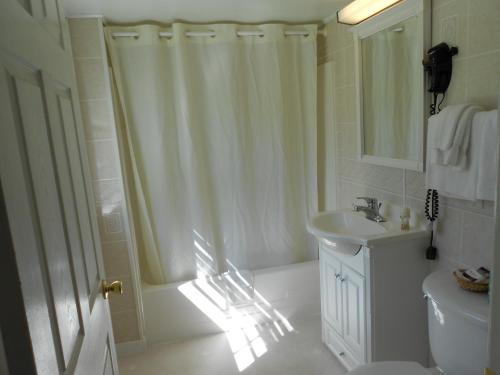 Ένα μπάνιο στο Stonybrook Motel & Lodge