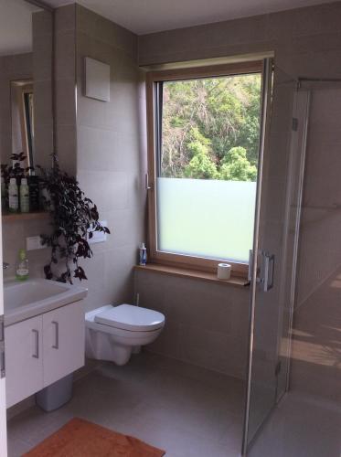 a bathroom with a shower toilet and a window at Haus am Wald in Waldbrunn