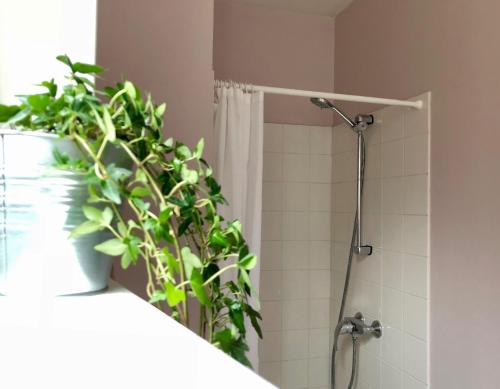 a bathroom with a shower with a plant at La Terrasse des bords du Cher in Saint-Aignan