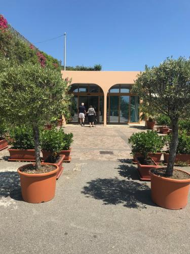 Сад в Hotel Riviera Lido