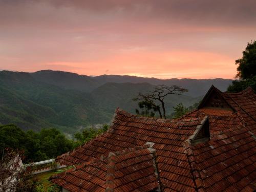Paradisa Nature Resort – Photos 4