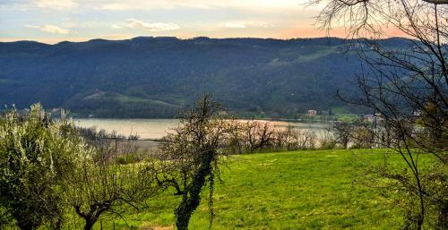 a green field with a view of a body of water at Bed and Breakfast La Quiete in Arcugnano