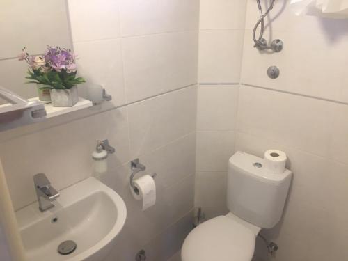 La salle de bains blanche est pourvue de toilettes et d'un lavabo. dans l'établissement Apartman Danilo, à Ulcinj