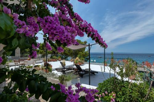 a bunch of purple flowers hanging from a tree at Beachfront Comfort Apartment NIVES in Tučepi