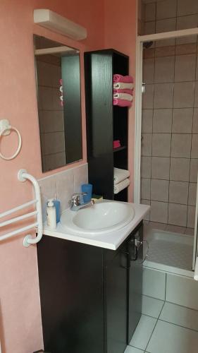 LA PROVIDENCE, chambres d'hôtes في Saint-Sernin-du-Plain: حمام مع حوض ومرآة ودش