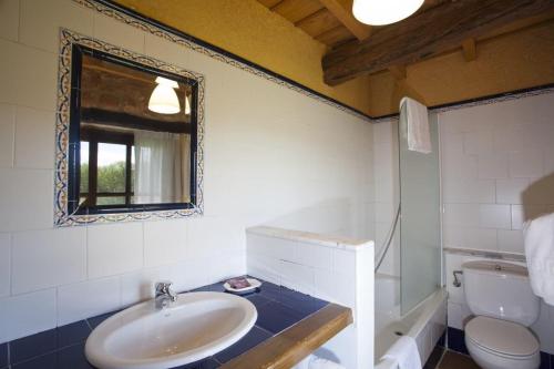 a bathroom with a sink and a toilet and a mirror at Hotel Rural La Aceña in Quintanaluengos