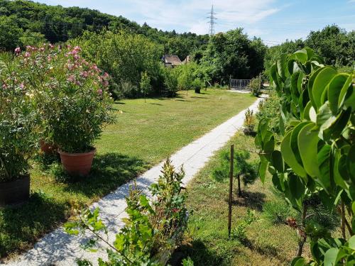 a garden with many plants and a path at Kincsesbánya in Kincsesbanya