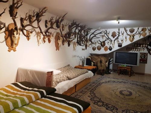 a living room with antlers hanging on the wall at Kincsesbánya in Kincsesbanya
