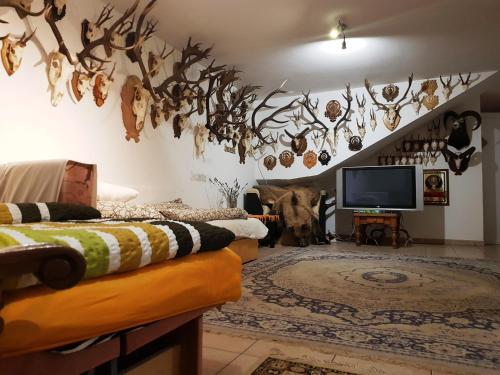 a room with a tv and some antlers on the wall at Kincsesbánya in Kincsesbanya