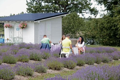 a group of people sitting in a garden with purple flowers at Lavender Village in Kiemeliai